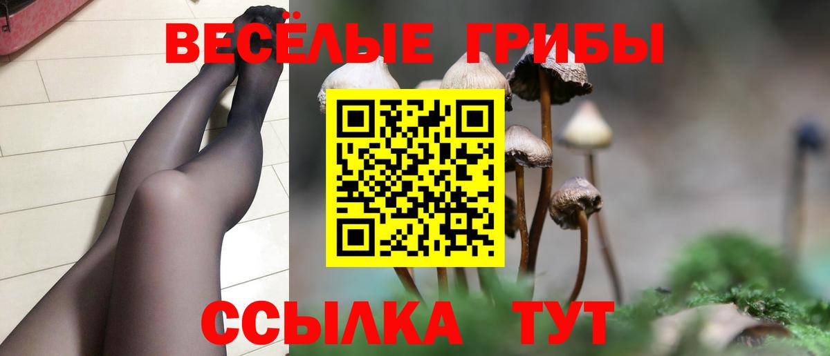 Галлюциногенные грибы мухоморы  Вход с VPN  Тольятти 